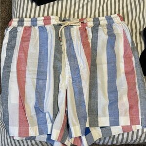 Chubbies Men's Shorts